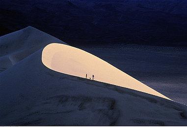 惊悚悬疑视觉小说《死尸工厂》 6月1日在Steam发售